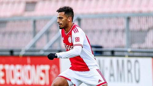 关于CBA常规赛国际比赛日走向成谜；费耶诺德防线松动；媒体盛赞；训练强度明显提升的信息