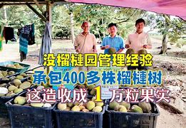 ?衇榴R篑?欣Q(31029干尧榴莲cx)