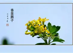 服了bvxzzxcvbjhga-九博网址